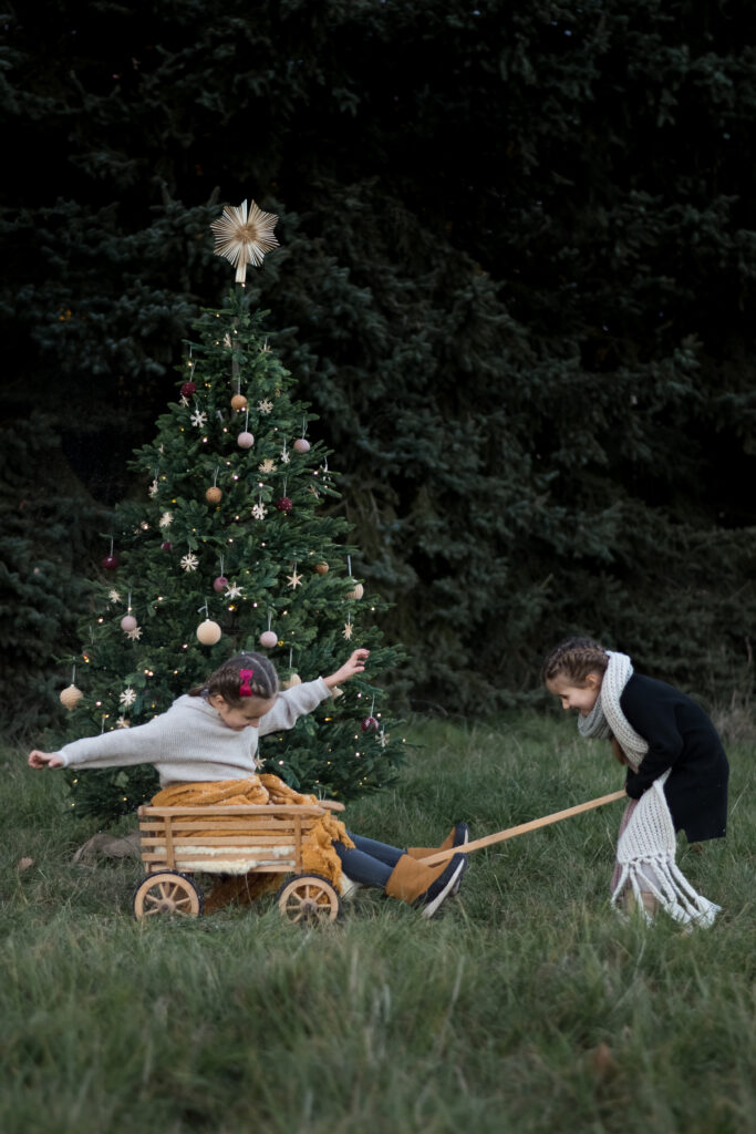 Kinder-Bollerwagen-Weihnachtsbaum