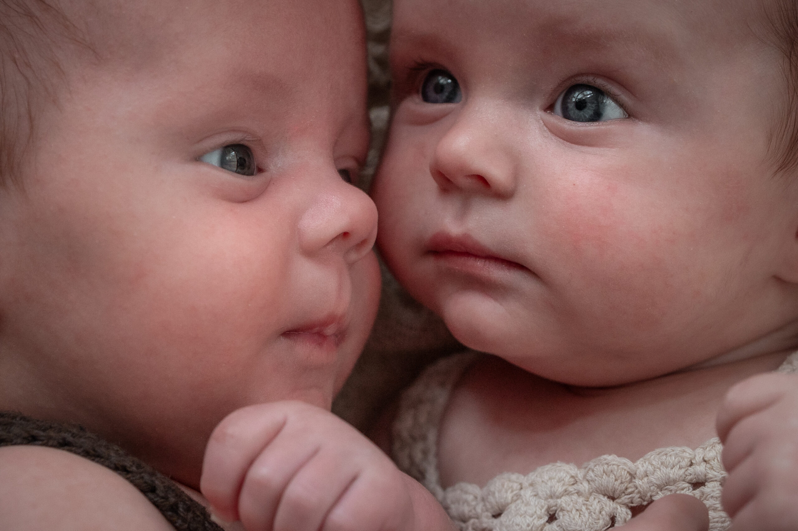 66 Newbornshooting Zwillinge92 scaled