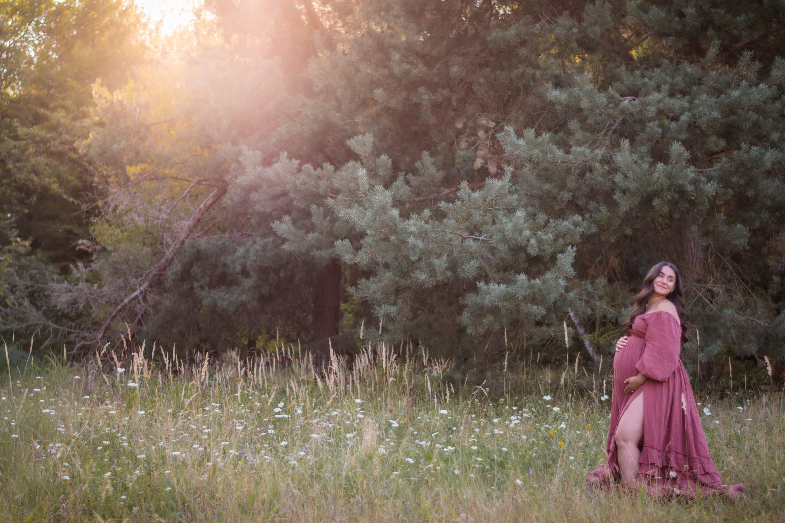 Seda Babybauch 8935 scaled