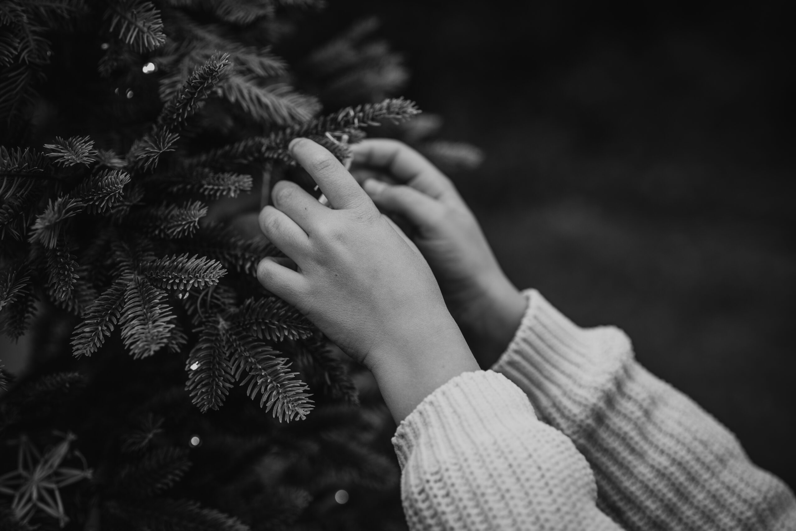 Weihnachtsminis Familie Lieber RAW46 scaled